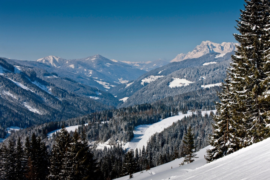 Wintersport Neuberg